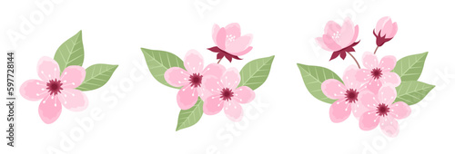 Set of pink cherry tree inflorescences with flowers, buds and leaves isolated on white background. Sakura blossom design elements. Vector illustration in flat style