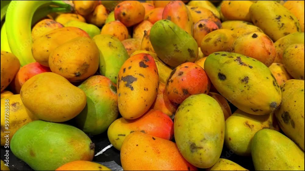 Ripe mangoes on the supermarket shelves. High quality 4k footage Ripe mangoes on the supermarket shelves. High quality 4k footage