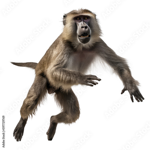 baboon animals on a transparant background, PNG, Generative Ai