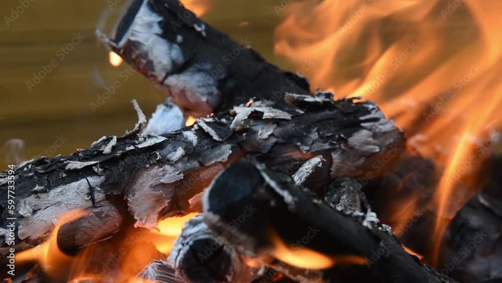 Fire on logs, logs burn into coals. A flame of fire in the wind. Embers and ashes from the fire.
