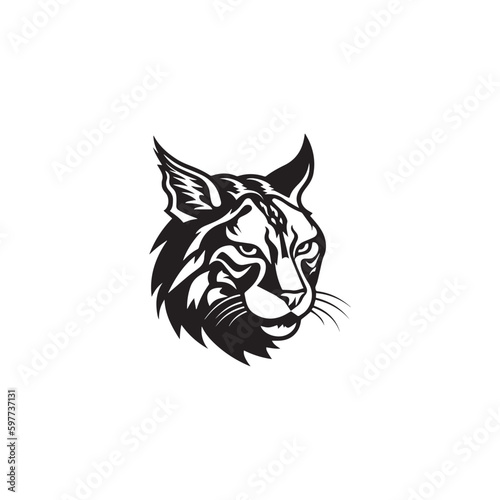 wild lynx - bobcat face head black and white vector design