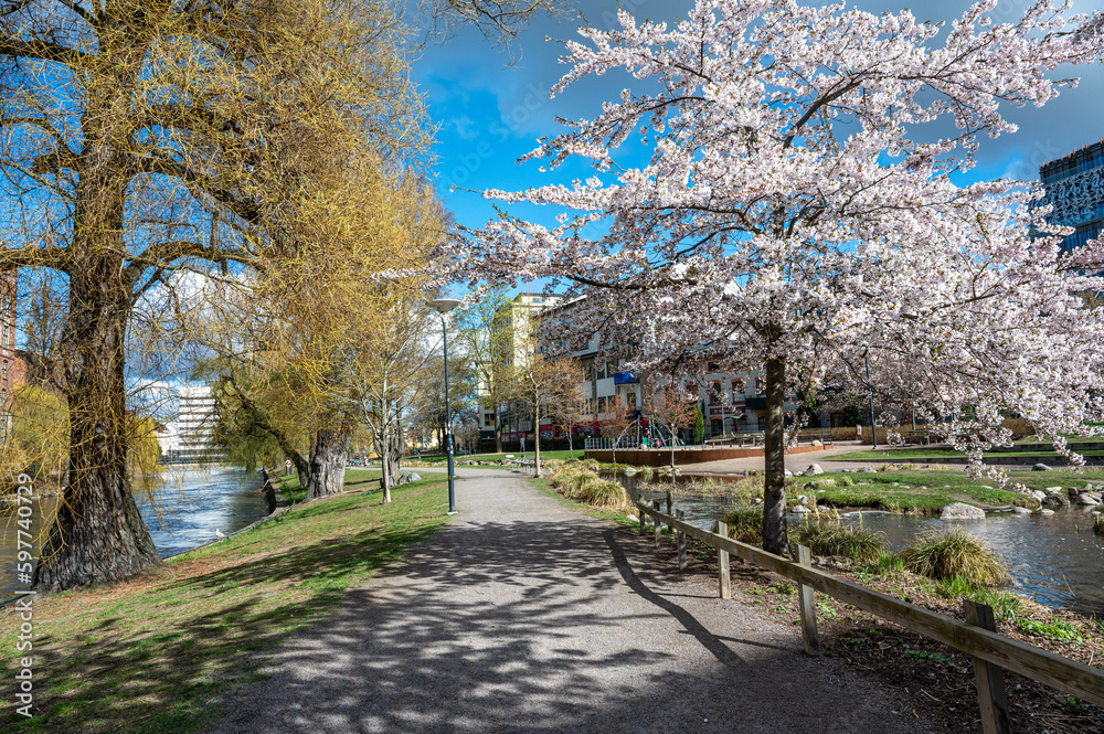 City park Strömparken during spring in Norrköping, Sweden. Norrköping is a historic industrial town. City park Strömparken during spring in Norrköping, Sweden. Norrköping is a historic industrial town.