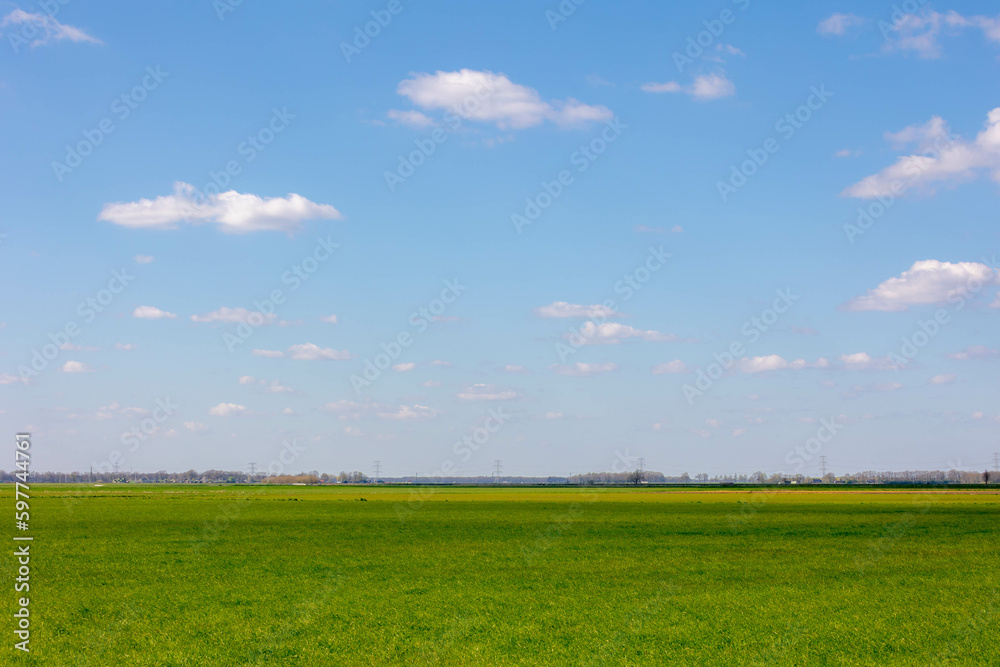 Fototapeta premium Spring landscape with flat and low land under blue sky and white cloud as background, Typical Dutch polder with green meadow and farm, Small villages in countryside of Drenthe province, Netherlands.