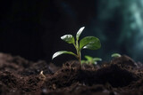 Green plant growing in good soil. Young plant Growing In sunlight from the ground, macro photorealistic illustration. Nature organic. 