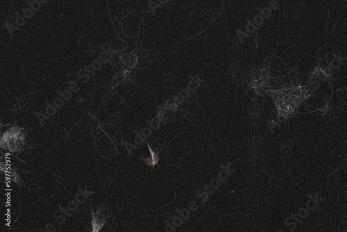 Animal white wool on black clothes background texture. close up of cat hair on clothes photo
