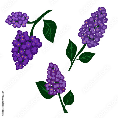 A set of lilac branches. Flat illustration. Elements for design