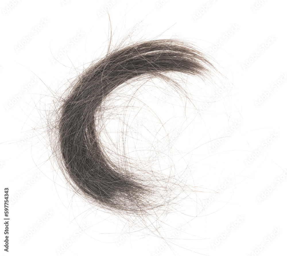 Fototapeta premium Hair bundle isolated on white background. tuft human hair close-up. haircut