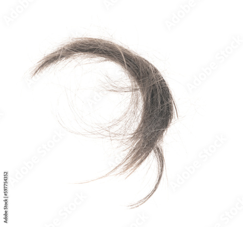 Hair bundle isolated on white background. tuft human hair close-up. haircut