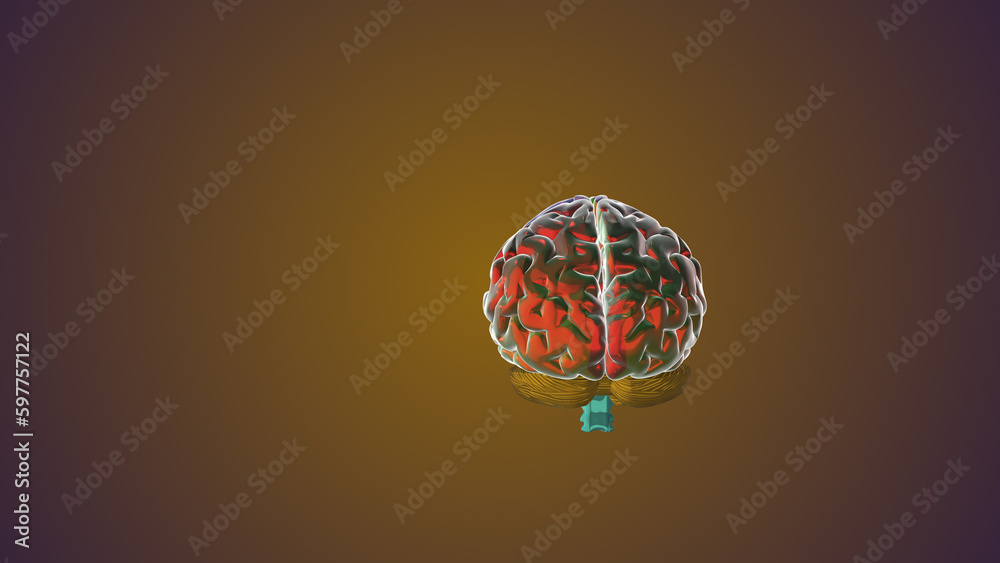 Computer model of a human brain