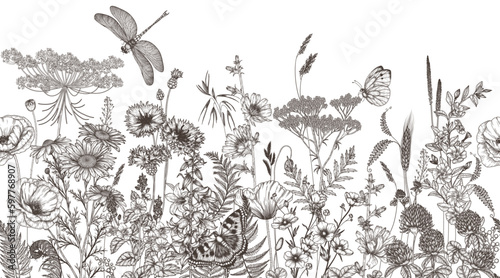 Seamless horizontal pattern of wildflowers and plants. Chamomile, clover, chicory, poppy, cornflower, bells, periwinkle, buttercup, veronica, butterfly, dragonfly in engraving style