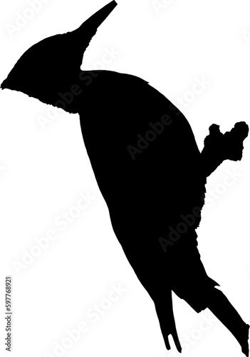 Pileated Woodpecker Bird Black Silhouette Cutout Shape