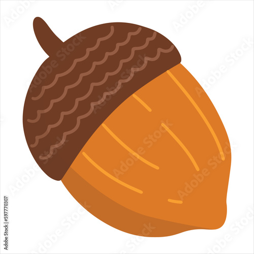 acorn illlustration photo