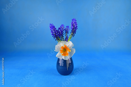 Pretty daffodil and a blue hyacinth in a blue ceramic vase on a blue background. Focused on the center of the daffodil.