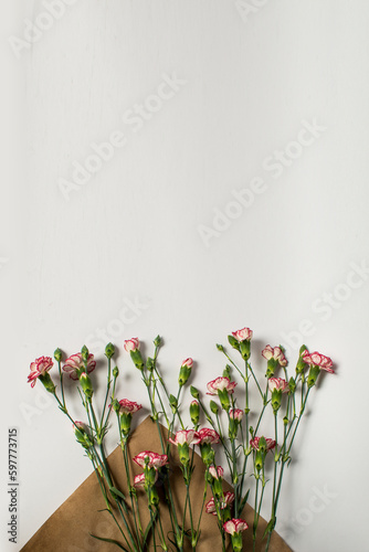 Vertical banner. Small red and white carnations. Flowers on craft paper. top ...