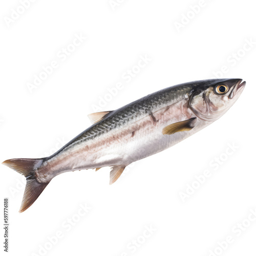 mackerel fish, isolated on transparent background cutout, generative ai