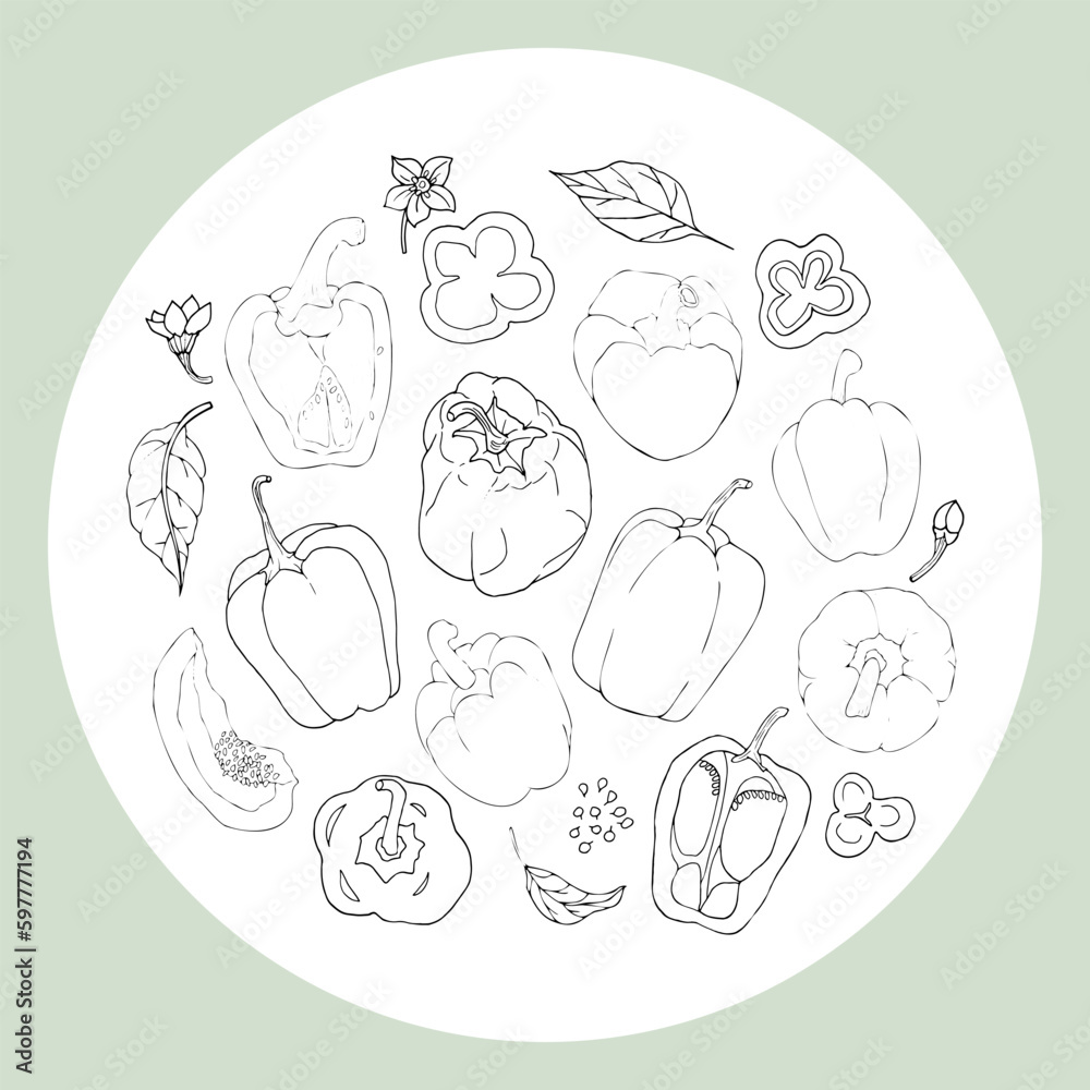 Set of peppers on white background. Parts of peppers, pieces of pepper. Hand-drawn white outline.