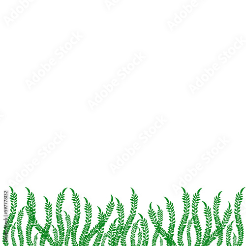 Green Grass PNG Background, Green Plant, Grass PNG.