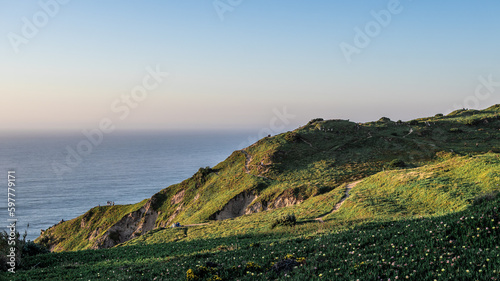 Grassy hill with flowers growing on it next to the ocean