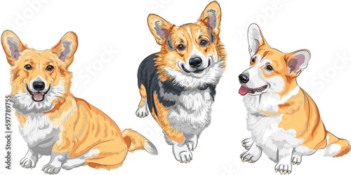 Set of color sketches of dog Pembroke Welsh corgi breed smiling