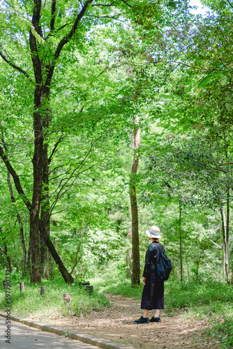 森林公園を散歩する女性