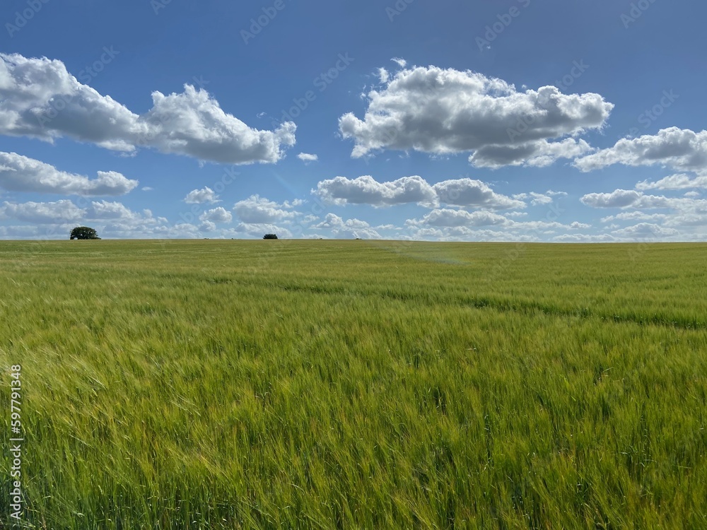 Vivid summer sky over lush green farmland in the Derbyshire countryside, England, UK. Vivid summer sky over lush green farmland in the Derbyshire countryside, England, UK.