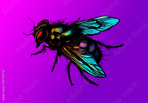 Colored vector  inked style house fly wall art