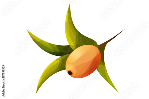 sea buckthorn with leaves in cartoon style, orange vitamine health berry on branch isolated on white background.