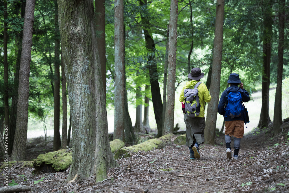 Obraz premium 新緑や美しい緑のかなで親子で登山するイメージ レジャーやアウトドア 全身