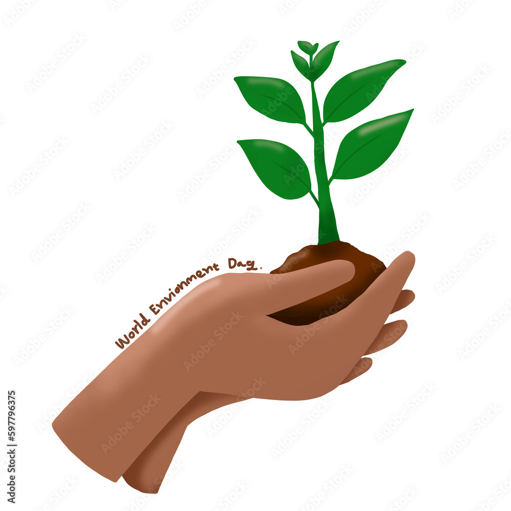 hand holding plant world Environment Day hand holding plant world Environment Day