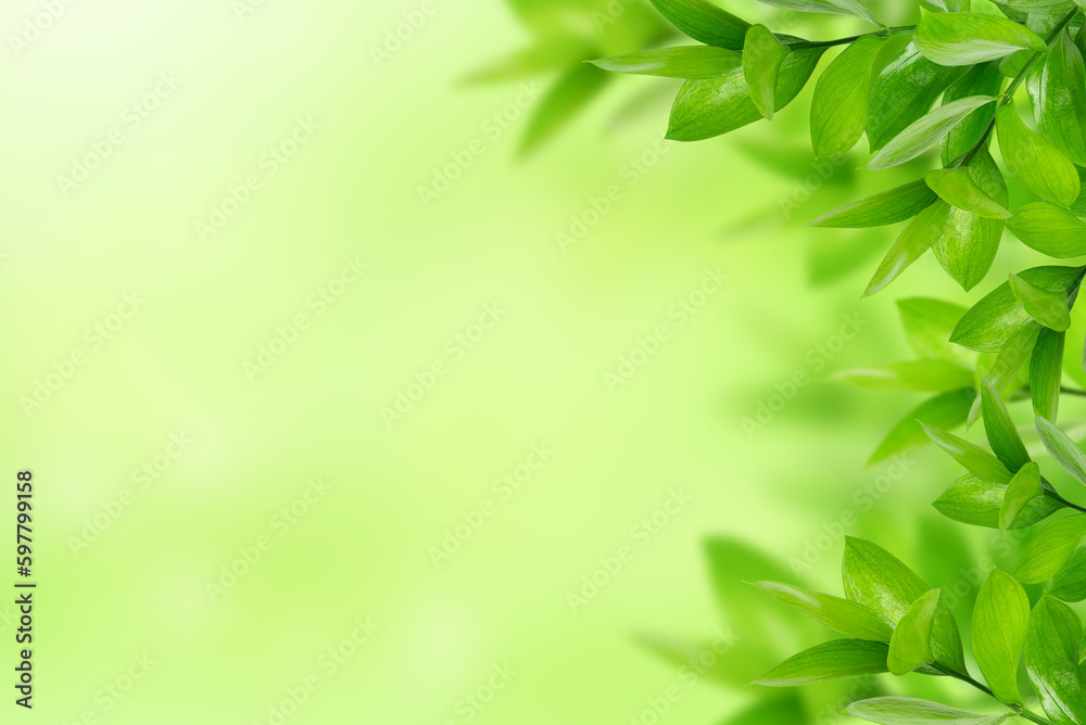 Fototapeta premium Nature green leaves background, summer foliage background