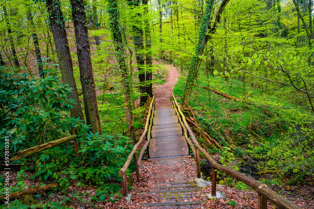Obraz premium Wooden footbridge and woodland ttail in magical Spring deciduous and pine forest, Germany, at warm sunset evening