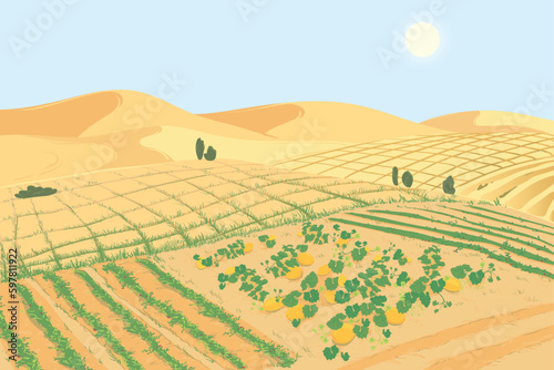 The concept of introducing agricultural technologies to combat the global problem of land desertification. Landscape with vegetable farm organized on land reclaimed from the desert. Melons in the sand