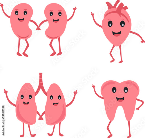 Human Organ Cartoon Character Set Of Kidney, Heart, Lungs, Dental