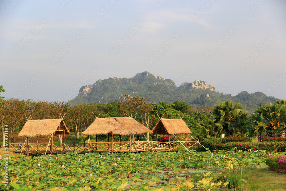 Large lotus pond. There is a hut on the side and there is a rocky mountain in the background. Large lotus pond. There is a hut on the side and there is a rocky mountain in the background.