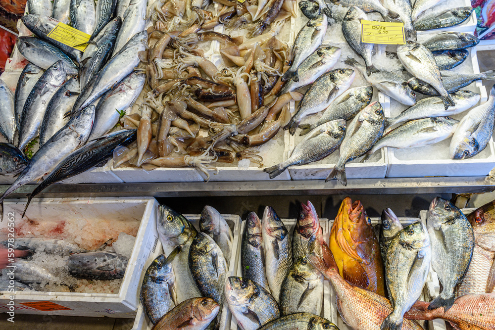 pesci in pescheria in Puglia, Italia