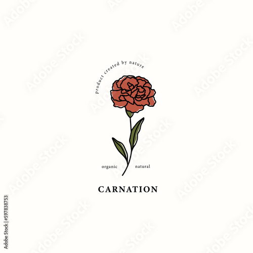 Line art carnation branch drawing