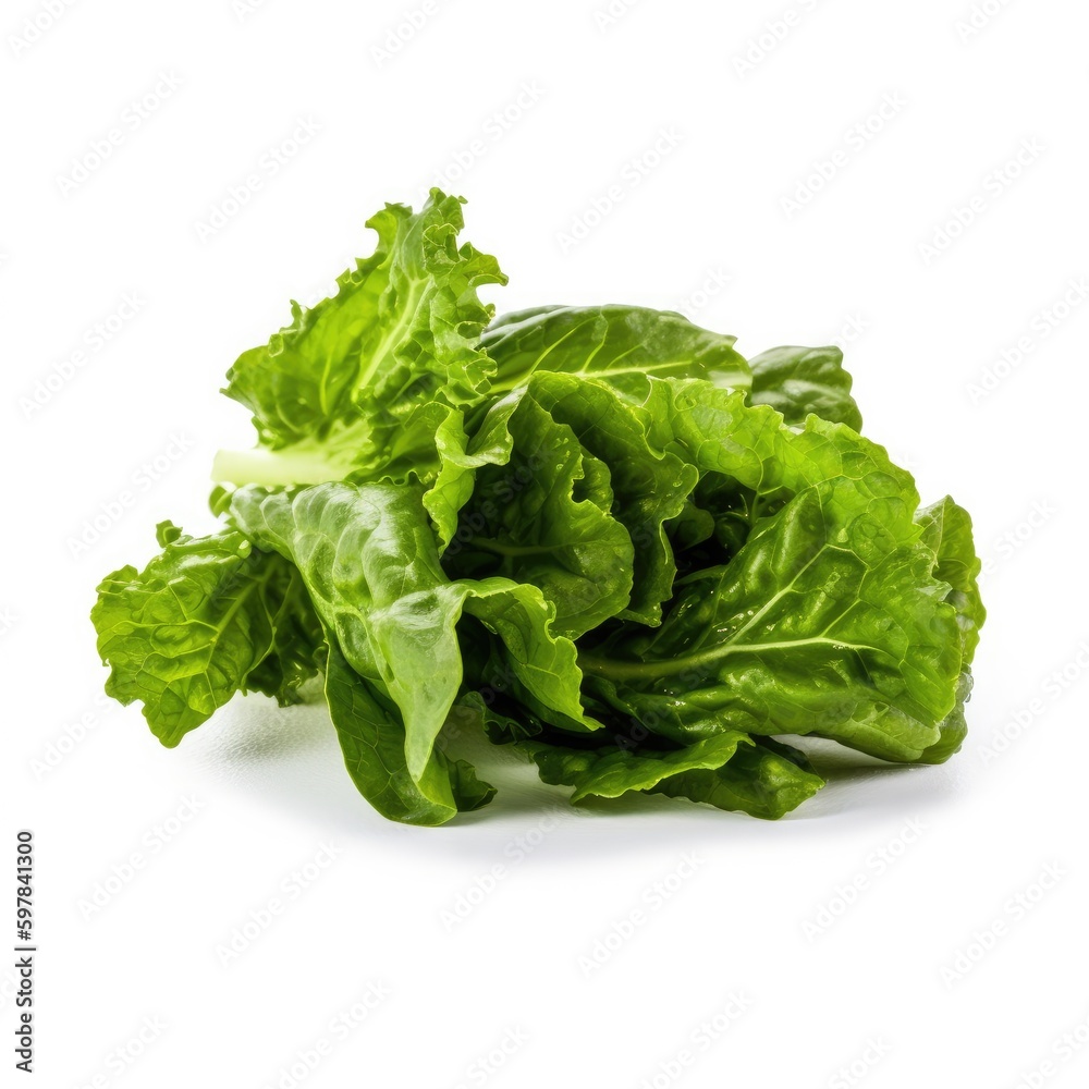Mustard Greens Isolated on White. Generative AI Mustard Greens Isolated on White. Generative AI