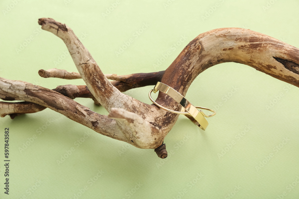 Tree branches with golden bracelet on green background