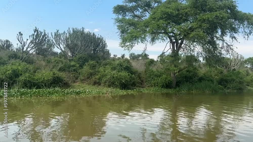 View of the lovely landscape on the shores of the Kazinga Channel - Queen Elizabeth National Park Uganda View of the lovely landscape on the shores of the Kazinga Channel - Queen Elizabeth National Park Uganda
