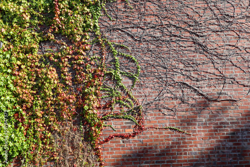 Sunny afternoon in Ballard neighborhood in Seattle, Washington