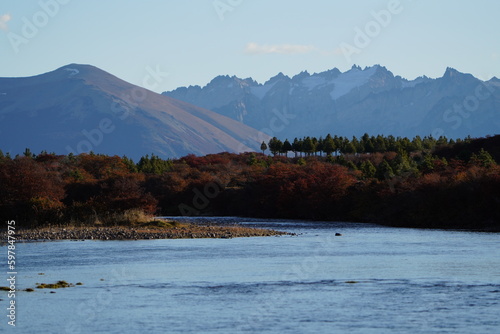 Paisaje patagonico rio y pinos photo