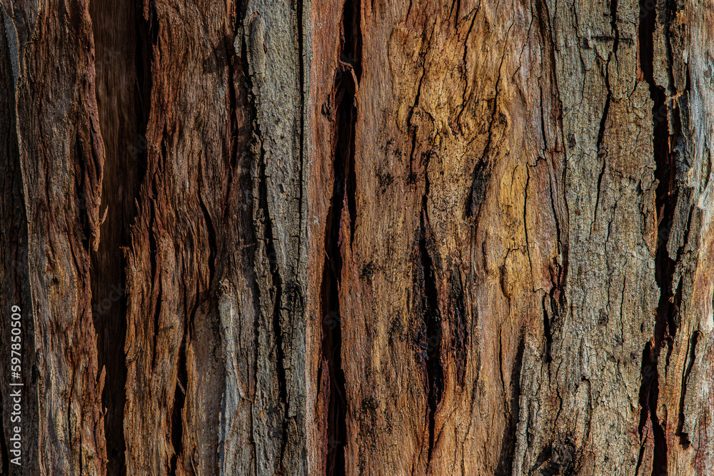 old wood texture close up old wood texture close up