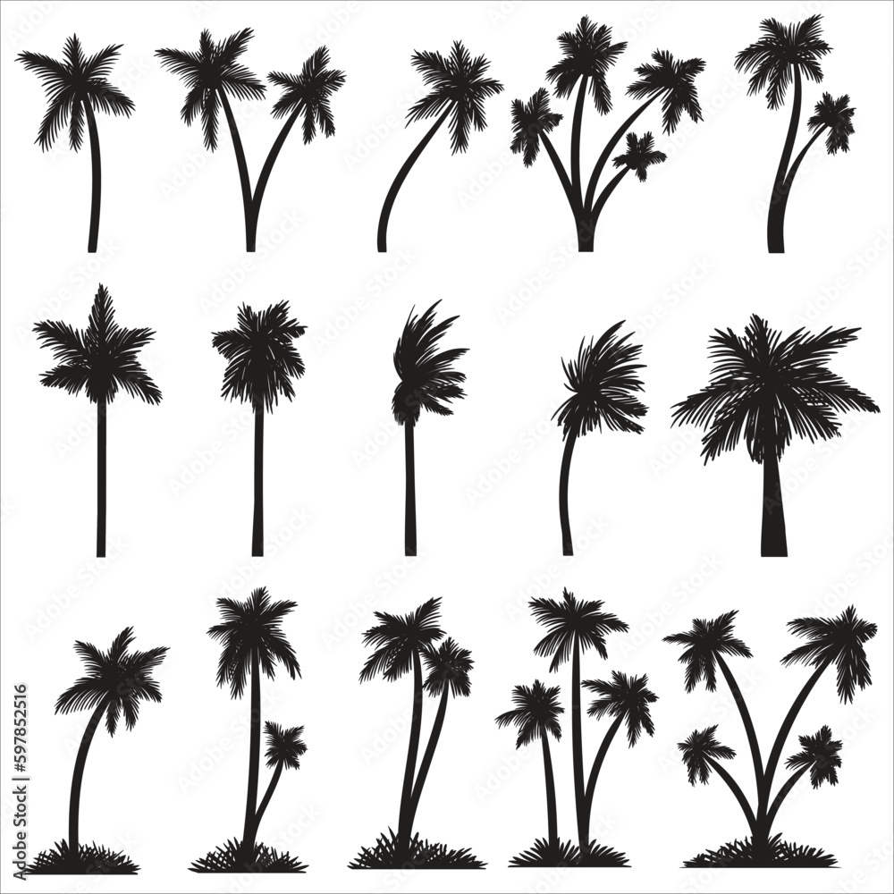 Silhouette Palm tree set collection vector illustration for your company or brand