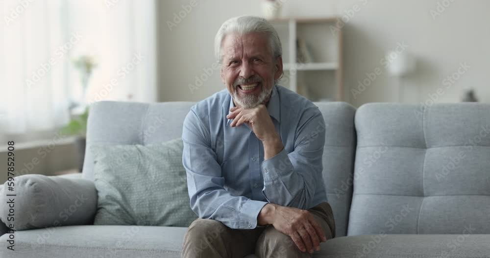 Portrait of happy grey-haired senior man sit on sofa smile look at camera, having attractive appearance enjoy carefree retired life relax at home. Medical insurance cover for older Generative AI