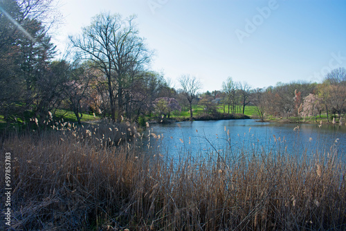 Trees and flowers are beginning to bloom around the small lake at Holmdel Park, New Jersey, -10