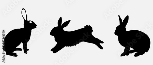 isolated black silhouette of a rabbit , vector collection