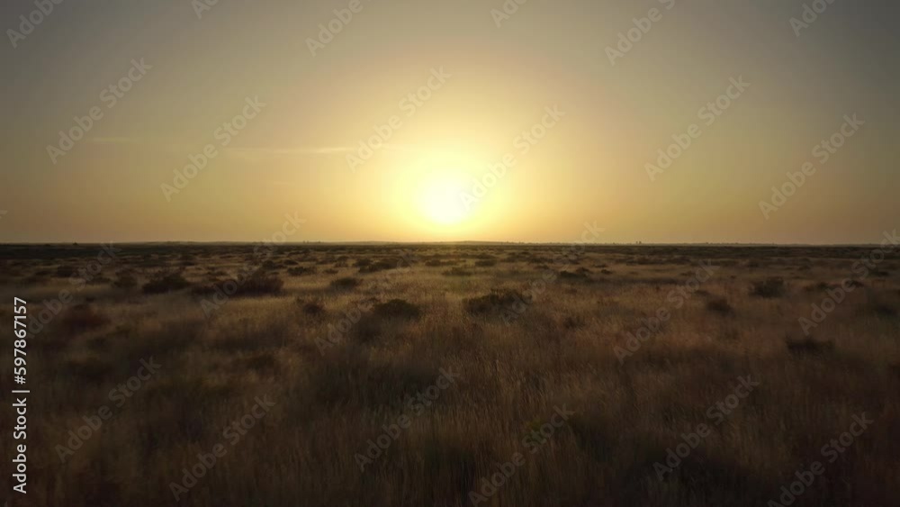 A very beautiful, soft dawn over a field of dry grass. Drone flying low over the ground towards the sun. Semi-arid climate. Earth climate change concept. 