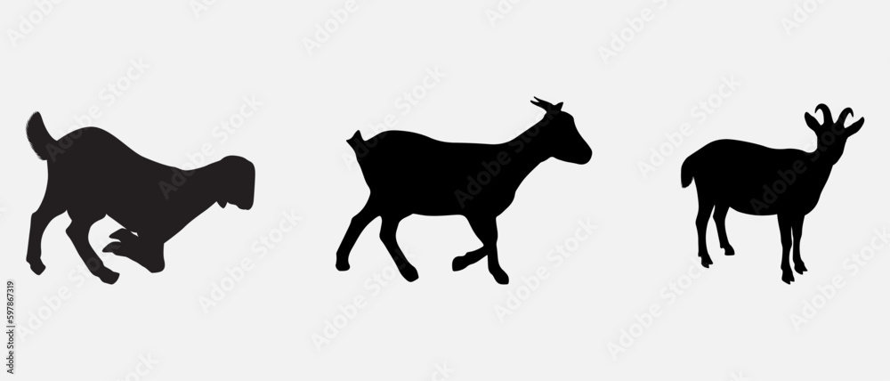 isolated black silhouette of a goat , vector collection