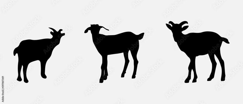 Fototapeta premium isolated black silhouette of a goat , vector collection
