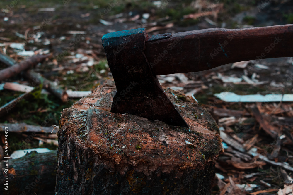 Axe tool is on the log. Harvesting firewood in the village with hatchet in the dark. Timber on the ground in the countryside. House of farmer and woodcutter. Power of sport vintage retro eco farm. Axe tool is on the log. Harvesting firewood in the village with hatchet in the dark. Timber on the ground in the countryside. House of farmer and woodcutter. Power of sport vintage retro eco farm.